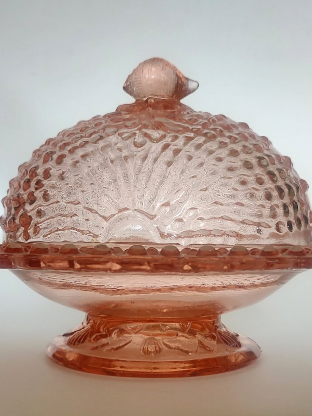 Vintage Pink Nautilus Argonaut Shell Candy Dish National Glass Co Northwood Rare